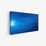 لوحات مناظر طبيعية تحت الماء، سماء زرقاء، سمكة قرش تسبح، جو هادئ ومريح، لوحات فنية عصرية، لوحات جدارية للمنزل.