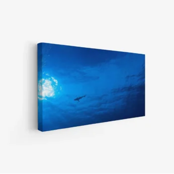 لوحات مناظر طبيعية تحت الماء، سماء زرقاء، سمكة قرش تسبح، جو هادئ ومريح، لوحات فنية عصرية، لوحات جدارية للمنزل.