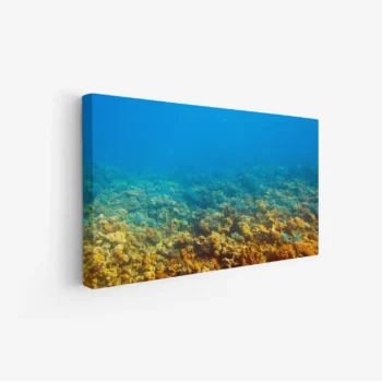 لوحات مناظر طبيعية تحت الماء، تتضمن شعاب مرجانية بألوان دافئة وزرقاء، جو هادئ ومريح. لوحات فنية عصرية، لوحات جدارية للمنزل، لوحات أنيقة.