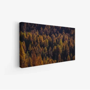 لوحات مناظر طبيعية غنية بالأشجار الذهبية والخضراء تحت ضوء الشمس الدافئ، لوحات جدارية أنيقة، لوحات فخمة.