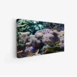 3800871_MockupOhneRhamen