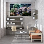 3800871_MockupOhneRhamen