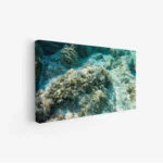 3800874_MockupOhneRhamen