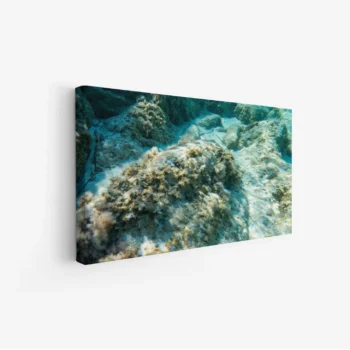 لوحات مناظر طبيعية تحت الماء، تتضمن صخورًا وأعشاب بحرية بألوان زرقاء وخضراء، جو هادئ ومريح. لوحات فخمة، لوحات جدارية للمنزل، لوحات أنيقة.