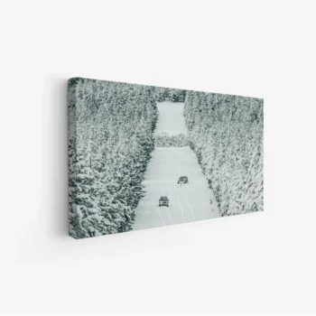 لوحة غابات ثلجية تضم أشجارًا كثيفة مغطاة بالثلوج مع سيارات تسير في ممر أبيض، لوحات طبيعة هادئة، لوحات كانفاس.