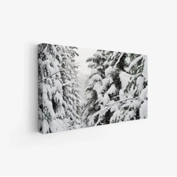 لوحة غابات مغطاة بالثلوج بألوان بيضاء وخضراء، تعكس هدوء الشتاء وجمال الطبيعة، لوحات طبيعة، لوحات كانفاس.