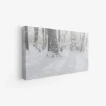 لوحة طبيعة هادئة تتضمن أشجارًا مغطاة بالثلوج وأجواء شتوية ساحرة، لوحات طبيعة، لوحات كانفاس.