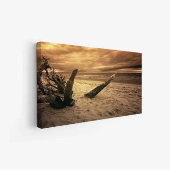 لوحات مناظر طبيعية تجسد شاطئًا رمليًا مع جذوع أشجار ميتة تحت سماء غائمة بلون ذهبي، لوحات فنية عصرية، لوحات جدارية للمنزل.