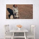 3801311_MockupOhneRhamen