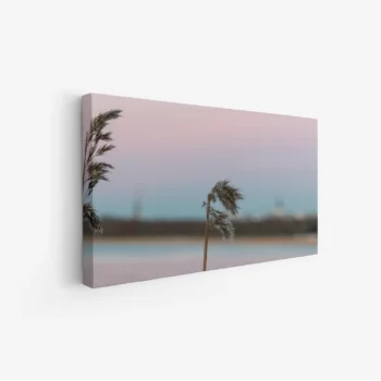 لوحات مناظر طبيعية تضم أعشابًا مائية بألوان هادئة وزرقة السماء، جو رومانسي ومريح. لوحات فخمة، لوحات جدارية للمنزل، لوحات أنيقة.