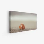 لوحات طبيعة تعكس جمال قشرة صدفة على الرمال بلون بني دافئ مع خلفية هادئة، لوحات جدارية للمنزل، لوحات فخمة.