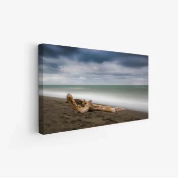 لوحات مناظر طبيعية تعكس شاطئًا هادئًا مع جذع شجرة على الرمال، ألوان زرقاء ورمادية، جو سلمي. لوحات فخمة، لوحات جدارية للمنزل، لوحات أنيقة.