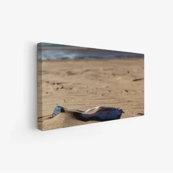 لوحات طبيعة تعكس مشهدًا رمليًا هادئًا مع تفاصيل دقيقة، ألوان دافئة، وجو من الاسترخاء. لوحات فنية عصرية، لوحات جدارية للمنزل، لوحات أنيقة.