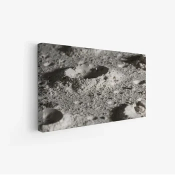 لوحة سطح القمر بتفاصيل دقيقة وألوان رمادية، مناظر طبيعية، لوحات كانفاس فخمة، لوحات جدارية أنيقة.