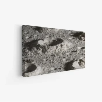 لوحة سطح القمر بتفاصيل دقيقة وألوان رمادية، تعكس أجواء الفضاء الغامضة، مناظر طبيعية، لوحات فنية عصرية، لوحات جدارية للمنزل.