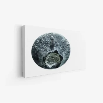 لوحة فنية مودرن بتفاصيل فقاعة مائية بألوان رمادية وزرقاء، تعكس جوًا من الهدوء، مناظر طبيعية، لوحات جدارية أنيقة، لوحات فخمة.