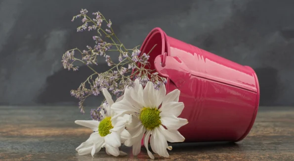 لوحة جدارية فنية كانفاس، ازهار ونباتات