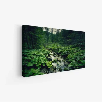 لوحة طبيعة هادئة - مجرى مائي - نباتات خضراء - هادئ - لوحات طبيعة - لوحات كانفاس