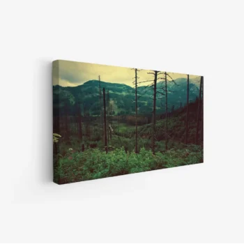 لوحة غابات - منظر جبلي - ألوان داكنة - هادئ - لوحات طبيعة - لوحات كانفاس