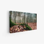 لوحة غابات - جذور شجرة - أوراق ملونة - هادئ - لوحات طبيعة - لوحات كانفاس