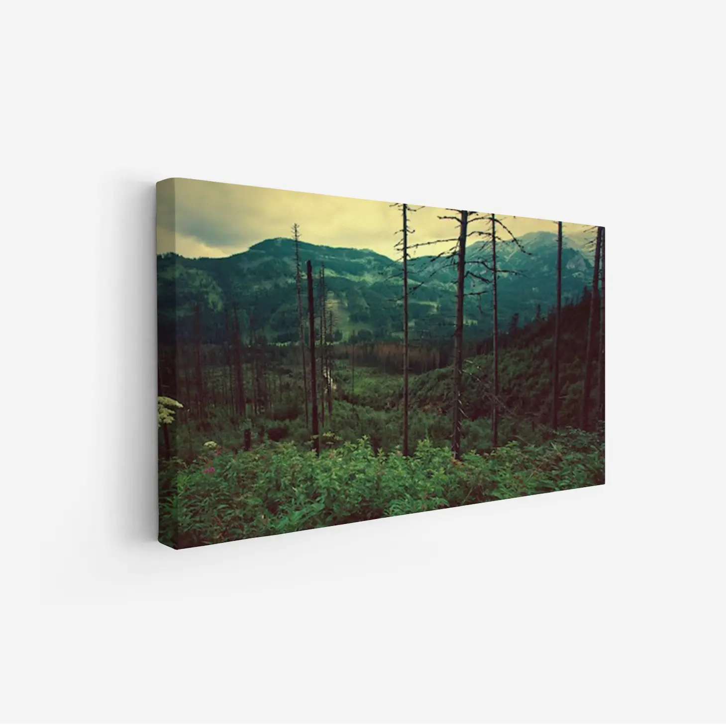 3800911_MockupOhneRhamen