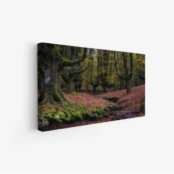 لوحة غابات - أشجار خضراء - أرضية مغطاة بالأوراق - هادئ - لوحات طبيعة - لوحات كانفاس