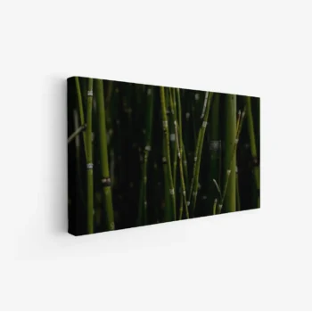 لوحة طبيعة هادئة - أعواد خضراء - خلفية داكنة - هادئ - لوحات طبيعة - لوحات كانفاس
