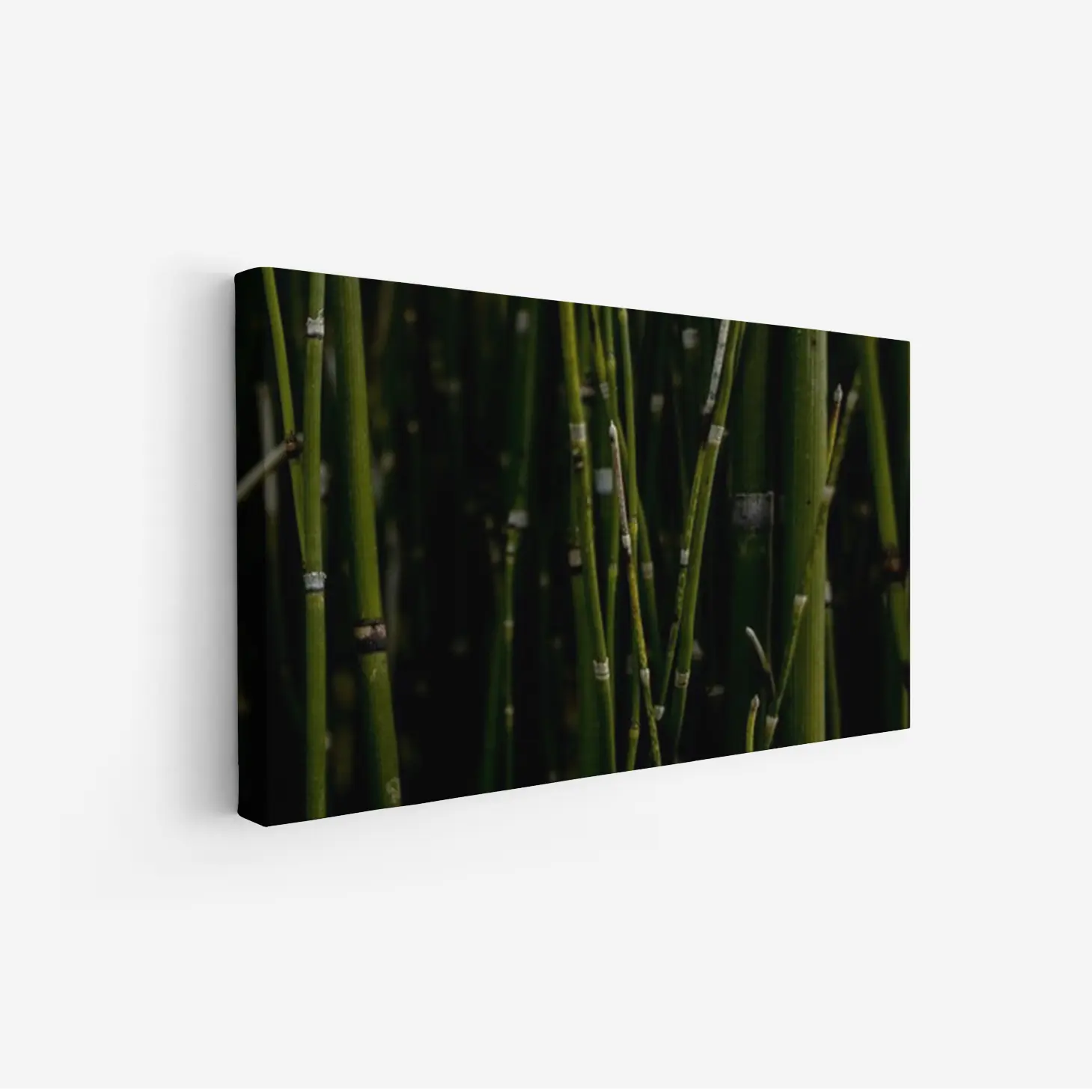 3800913_MockupOhneRhamen