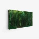 لوحة غابات - ممر من الخيزران - ألوان خضراء زاهية - هادئ - لوحات طبيعة - لوحات كانفاس