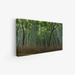 لوحة غابات - أشجار خضراء - ضوء طبيعي - هادئ - لوحات طبيعة - لوحات كانفاس