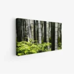 لوحة غابات - أعمدة خيزران - ألوان خضراء زاهية - هادئ - لوحات طبيعة - لوحات كانفاس