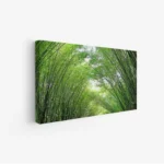 3800925_MockupOhneRhamen