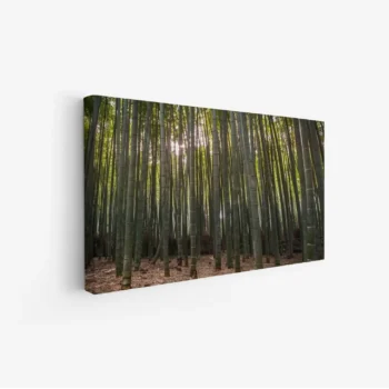 لوحة غابات - أعمدة خضراء - ضوء الشمس - هادئ - لوحات طبيعة - لوحات كانفاس