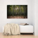 3800926_MockupOhneRhamen