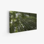 لوحة غابات - أعمدة خضراء - ضوء طبيعي - هادئ - لوحات طبيعة - لوحات كانفاس