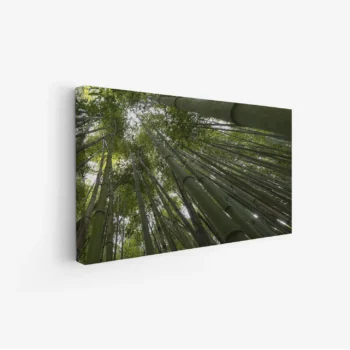 لوحة غابات - أعمدة خضراء - ضوء طبيعي - هادئ - لوحات طبيعة - لوحات كانفاس