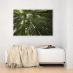 3800928_MockupOhneRhamen