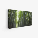 لوحة غابات - أشجار خضراء - إضاءة طبيعية - هادئ - لوحات طبيعة - لوحات كانفاس