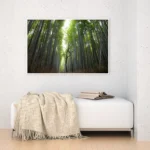 3800930_MockupOhneRhamen