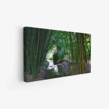 لوحة غابات - مجرى مائي - أخضر - هادئ - لوحات طبيعة - لوحات كانفاس