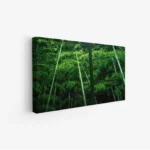 3800934_MockupOhneRhamen