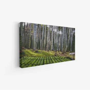 لوحة غابات - أعمدة خيزران - ألوان خضراء - هادئ - لوحات طبيعة - لوحات كانفاس
