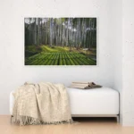 3800935_MockupOhneRhamen