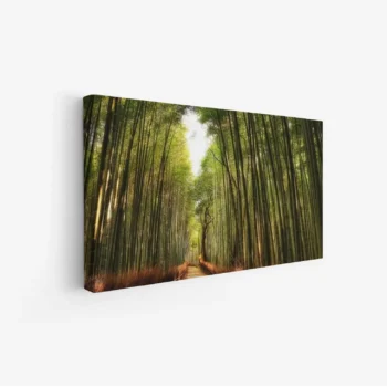 لوحة غابات - طريق بين الأشجار - ألوان خضراء زاهية - هادئ - لوحات طبيعة - لوحات كانفاس