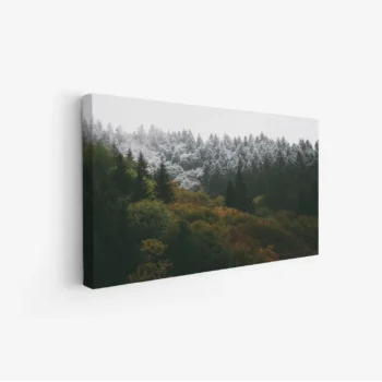 لوحة غابات - أشجار خضراء - ضباب خفيف - هادئ - لوحات طبيعة - لوحات كانفاس