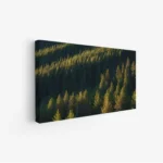 لوحة غابات - أشجار خضراء - إضاءة طبيعية - هادئ - لوحات طبيعة - لوحات كانفاس