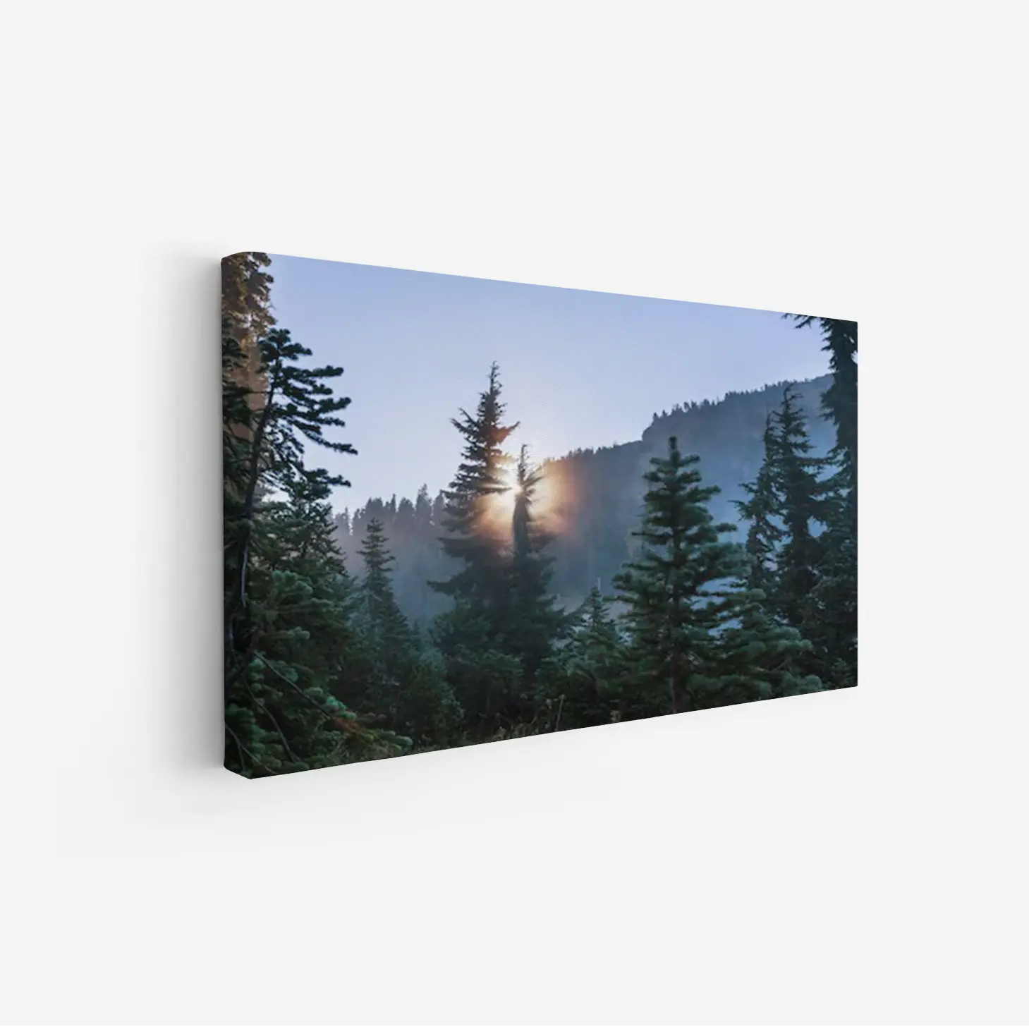 3800953_MockupOhneRhamen