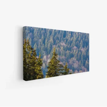 لوحة غابات - أشجار خضراء - ألوان زاهية - هادئ - لوحات طبيعة - لوحات كانفاس