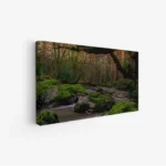 لوحة غابات - مجرى مائي - ألوان خضراء - هادئ - لوحات طبيعة - لوحات كانفاس