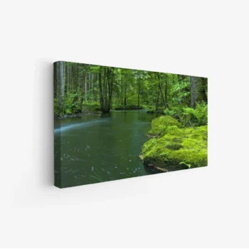 لوحة طبيعة هادئة - نهر يجري - ألوان خضراء زاهية - هادئ - لوحات طبيعة - لوحات كانفاس
